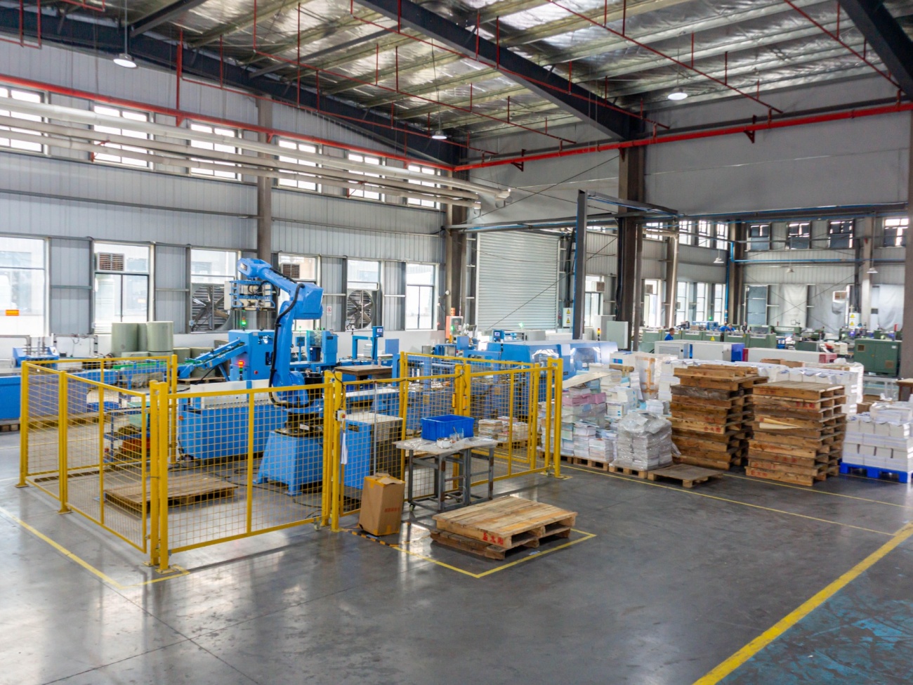 Automated Packing and Palletizing Area