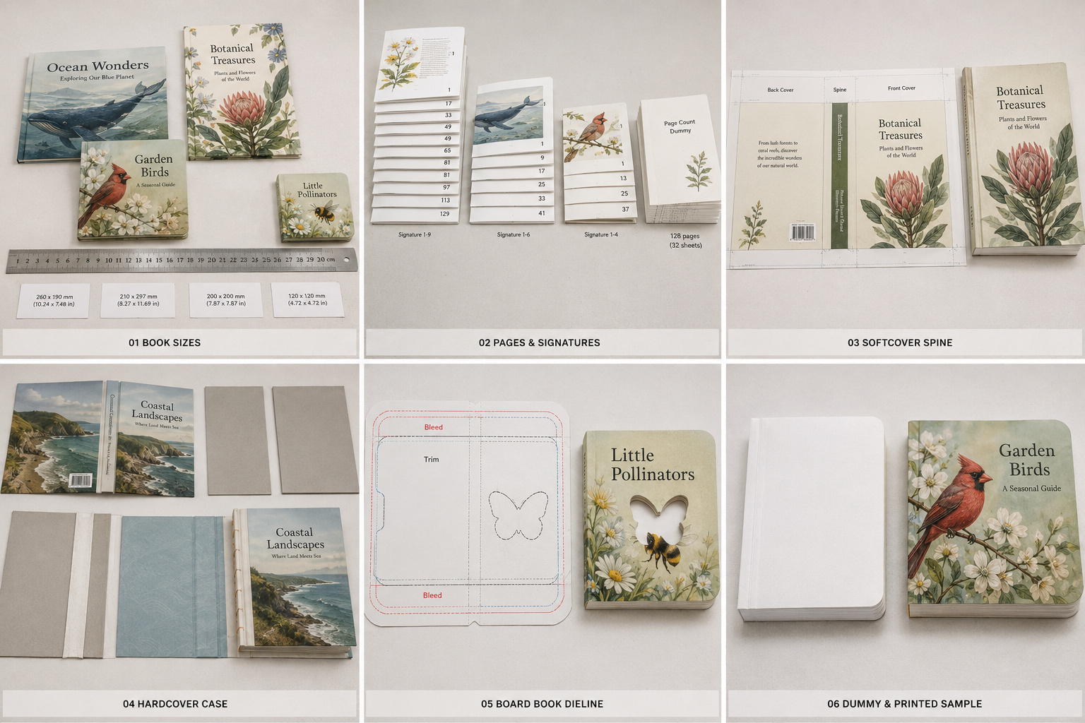 Children’s book size and structure confirmation process